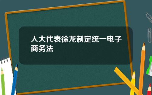 人大代表徐龙制定统一电子商务法