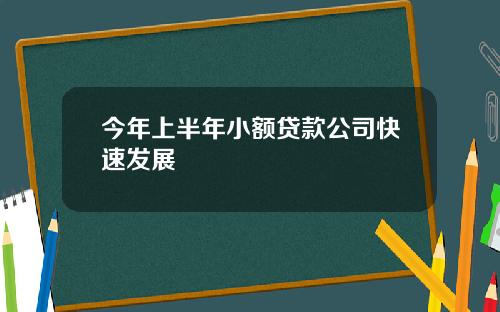 今年上半年小额贷款公司快速发展