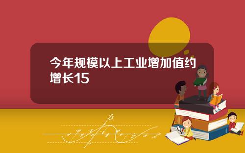 今年规模以上工业增加值约增长15