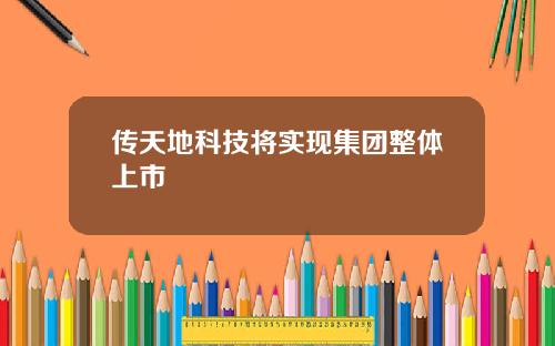 传天地科技将实现集团整体上市