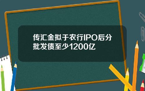 传汇金拟于农行IPO后分批发债至少1200亿