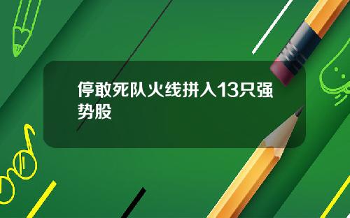 停敢死队火线拼入13只强势股