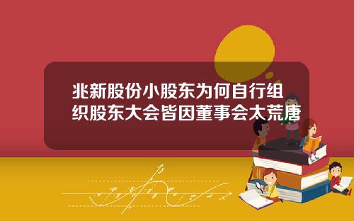 兆新股份小股东为何自行组织股东大会皆因董事会太荒唐
