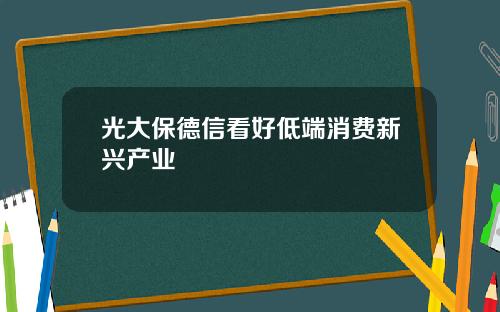 光大保德信看好低端消费新兴产业