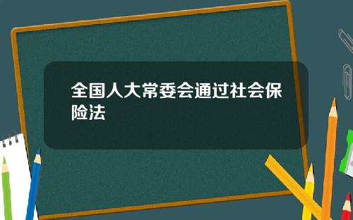 全国人大常委会通过社会保险法
