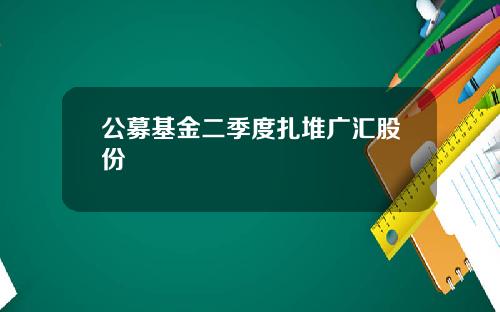 公募基金二季度扎堆广汇股份