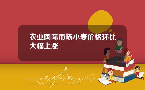 农业国际市场小麦价格环比大幅上涨