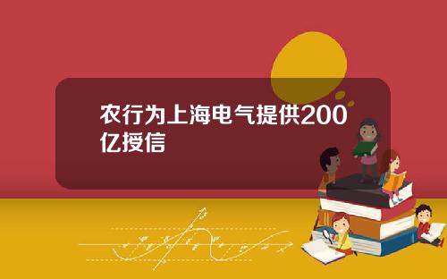 农行为上海电气提供200亿授信