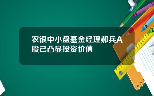 农银中小盘基金经理郝兵A股已凸显投资价值