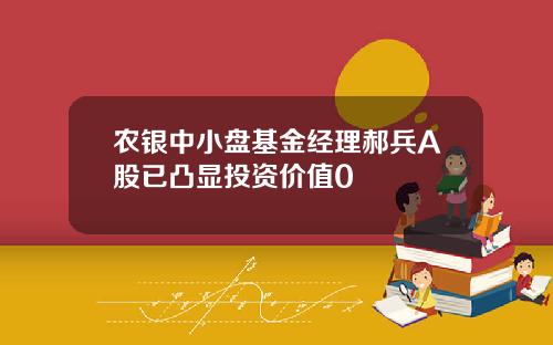农银中小盘基金经理郝兵A股已凸显投资价值0