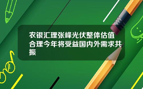 农银汇理张峰光伏整体估值合理今年将受益国内外需求共振