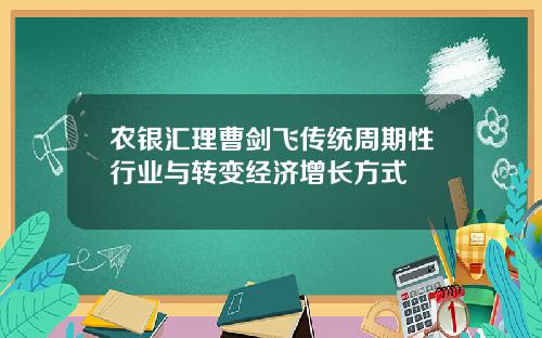 农银汇理曹剑飞传统周期性行业与转变经济增长方式