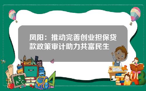 凤阳：推动完善创业担保贷款政策审计助力共富民生