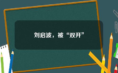 刘启波，被“双开”