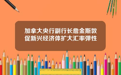 加拿大央行副行长詹金斯敦促新兴经济体扩大汇率弹性