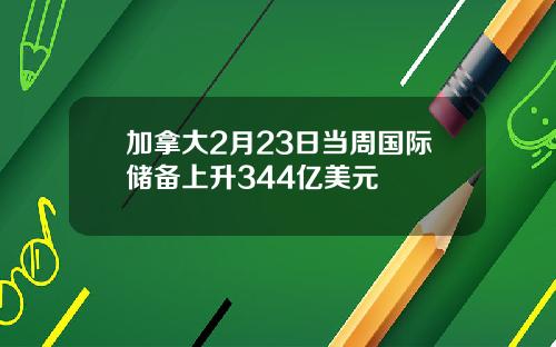 加拿大2月23日当周国际储备上升344亿美元