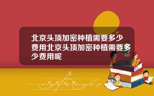 北京头顶加密种植需要多少费用北京头顶加密种植需要多少费用呢