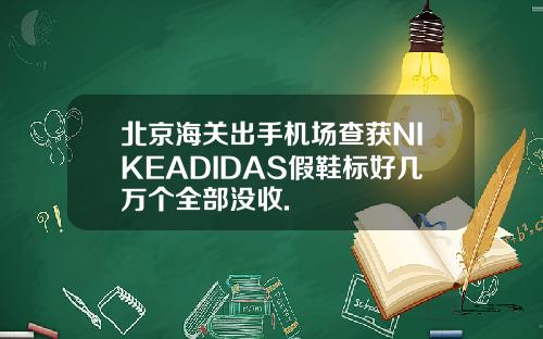 北京海关出手机场查获NIKEADIDAS假鞋标好几万个全部没收.