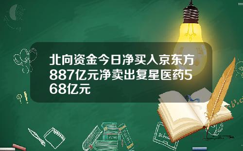 北向资金今日净买入京东方887亿元净卖出复星医药568亿元