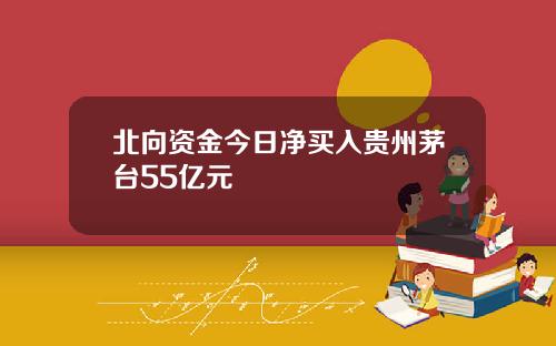 北向资金今日净买入贵州茅台55亿元
