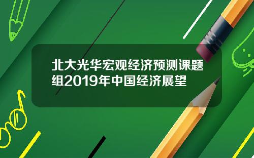 北大光华宏观经济预测课题组2019年中国经济展望