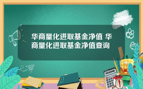 华商量化进取基金净值 华商量化进取基金净值查询