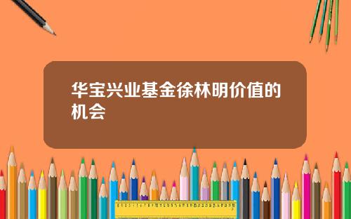 华宝兴业基金徐林明价值的机会