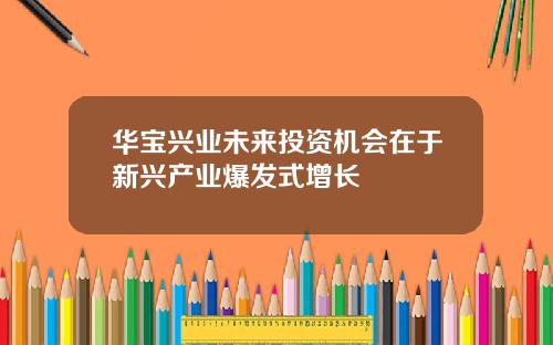 华宝兴业未来投资机会在于新兴产业爆发式增长