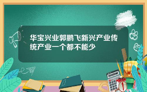 华宝兴业郭鹏飞新兴产业传统产业一个都不能少