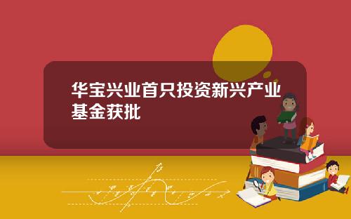 华宝兴业首只投资新兴产业基金获批