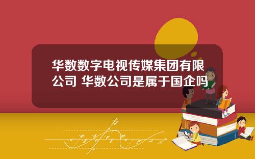 华数数字电视传媒集团有限公司 华数公司是属于国企吗