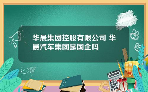 华晨集团控股有限公司 华晨汽车集团是国企吗