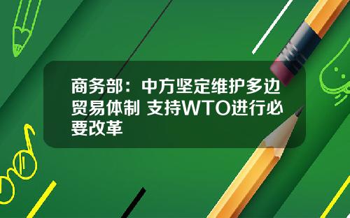 商务部：中方坚定维护多边贸易体制 支持WTO进行必要改革