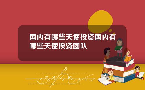 国内有哪些天使投资国内有哪些天使投资团队