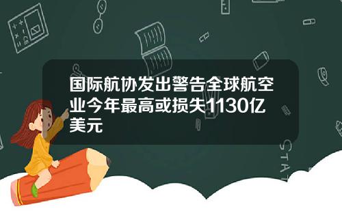 国际航协发出警告全球航空业今年最高或损失1130亿美元