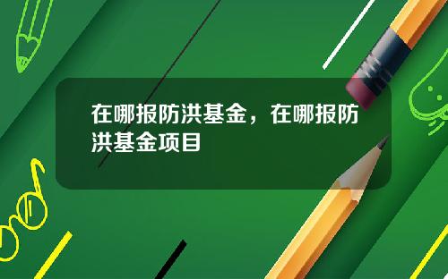 在哪报防洪基金，在哪报防洪基金项目
