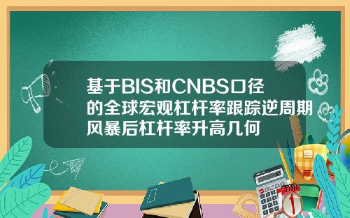基于BIS和CNBS口径的全球宏观杠杆率跟踪逆周期风暴后杠杆率升高几何