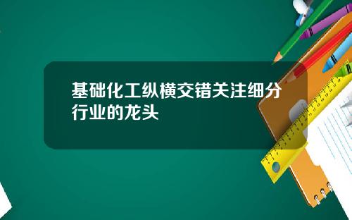 基础化工纵横交错关注细分行业的龙头