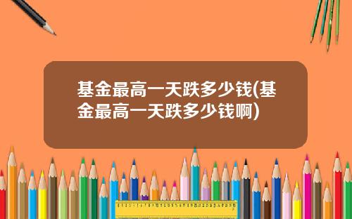 基金最高一天跌多少钱(基金最高一天跌多少钱啊)
