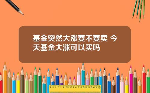 基金突然大涨要不要卖 今天基金大涨可以买吗