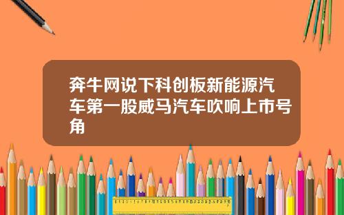 奔牛网说下科创板新能源汽车第一股威马汽车吹响上市号角