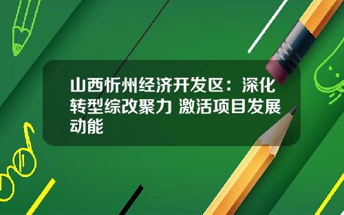 山西忻州经济开发区：深化转型综改聚力 激活项目发展动能