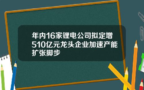年内16家锂电公司拟定增510亿元龙头企业加速产能扩张脚步