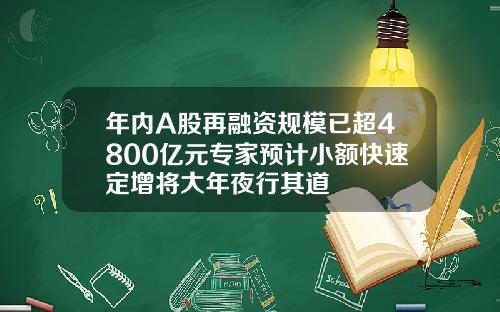 年内A股再融资规模已超4800亿元专家预计小额快速定增将大年夜行其道