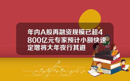 年内A股再融资规模已超4800亿元专家预计小额快速定增将大年夜行其道