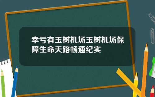 幸亏有玉树机场玉树机场保障生命天路畅通纪实