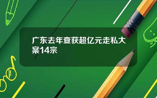 广东去年查获超亿元走私大案14宗