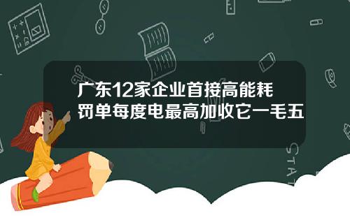 广东12家企业首接高能耗罚单每度电最高加收它一毛五