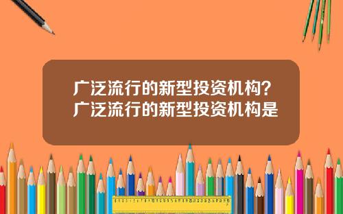 广泛流行的新型投资机构？广泛流行的新型投资机构是