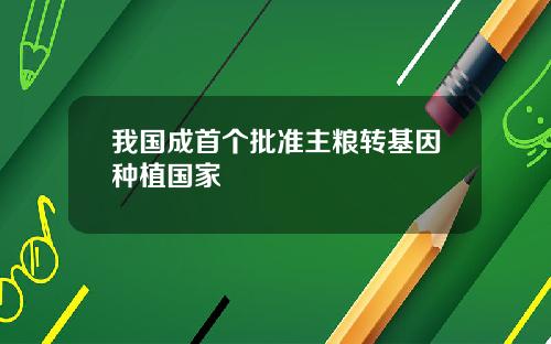 我国成首个批准主粮转基因种植国家